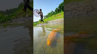 Rural Fishing by polo in river #bigfish #polofishing #shorts