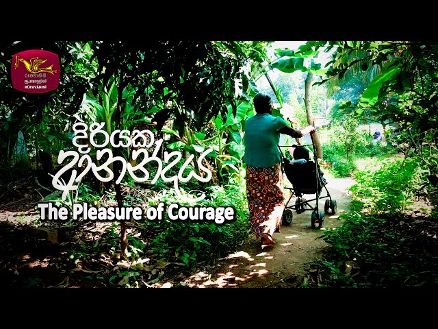 Diriyaka Anandaya 22-05-2024