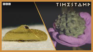 The Story Of British Civilisation | BBC Timestamp | BBC Studios
