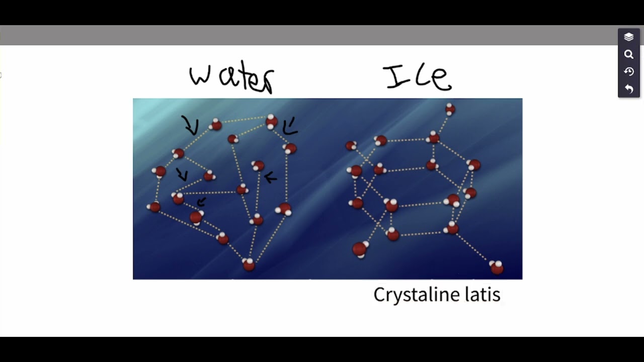 Basics understanding of water's molecular structure and hydrogen bonds!