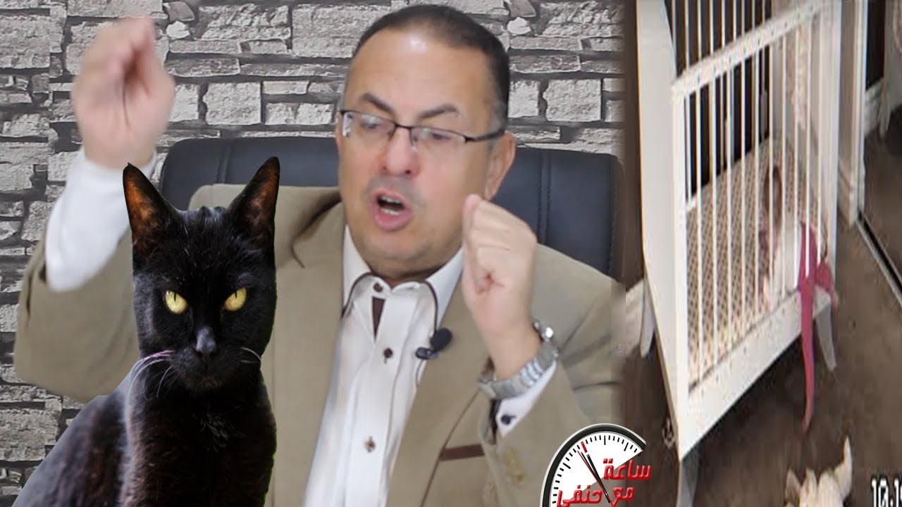 الجن خرج من القطه وعاشر بنتى عمرها  6 شهور الاب القذر والقطه