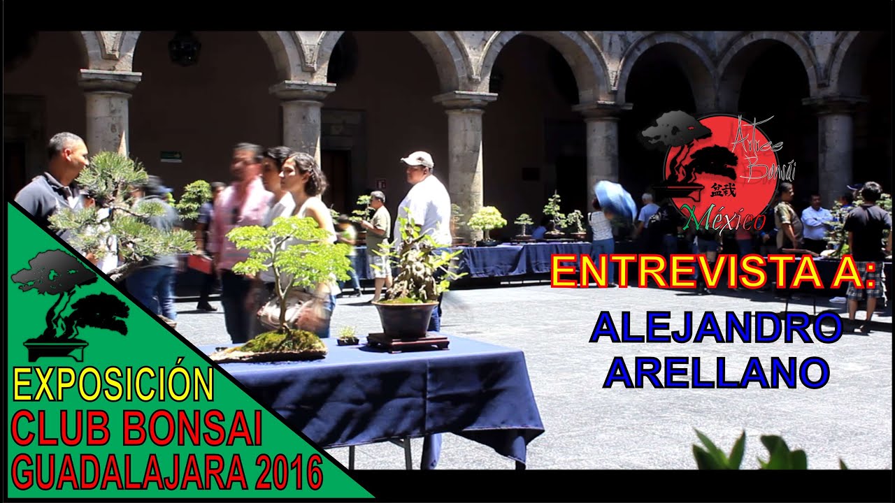 Exposición CLUB BONSAI GUADALAJARA 2016 ENTREVISTA a ALEJANDO
