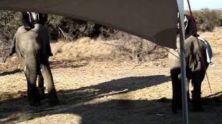 MOV05009