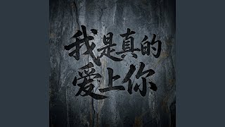 我是真的爱上你