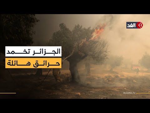 السيطرة على حرائق ضخمة دمرت مئات الهكتارات الزراعية في عدد من الولايات الجزائرية