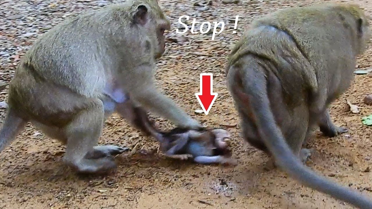 foundry Nasty Female Grandma, Ugly Grandma Stop Daniela Hugging Mummy sadly