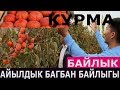 АЙЫЛДЫК БАГБАН БАЙЛЫГЫ / АРАВАНДЫК БАГБАНДЫН КУРМАСЫ МОЛ!