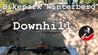 Bikepark Winterberg 2023 | Downhill (neuer Teil) | RAW