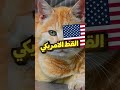 انواع القطط في كل مكان بالعالم