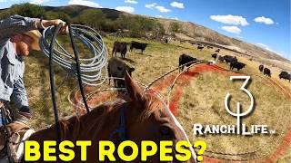 Are 3:10 Ranch Ropes the best?