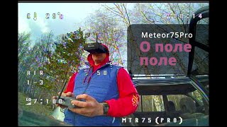 Betafpv Meteor75 Pro. О поле поле.