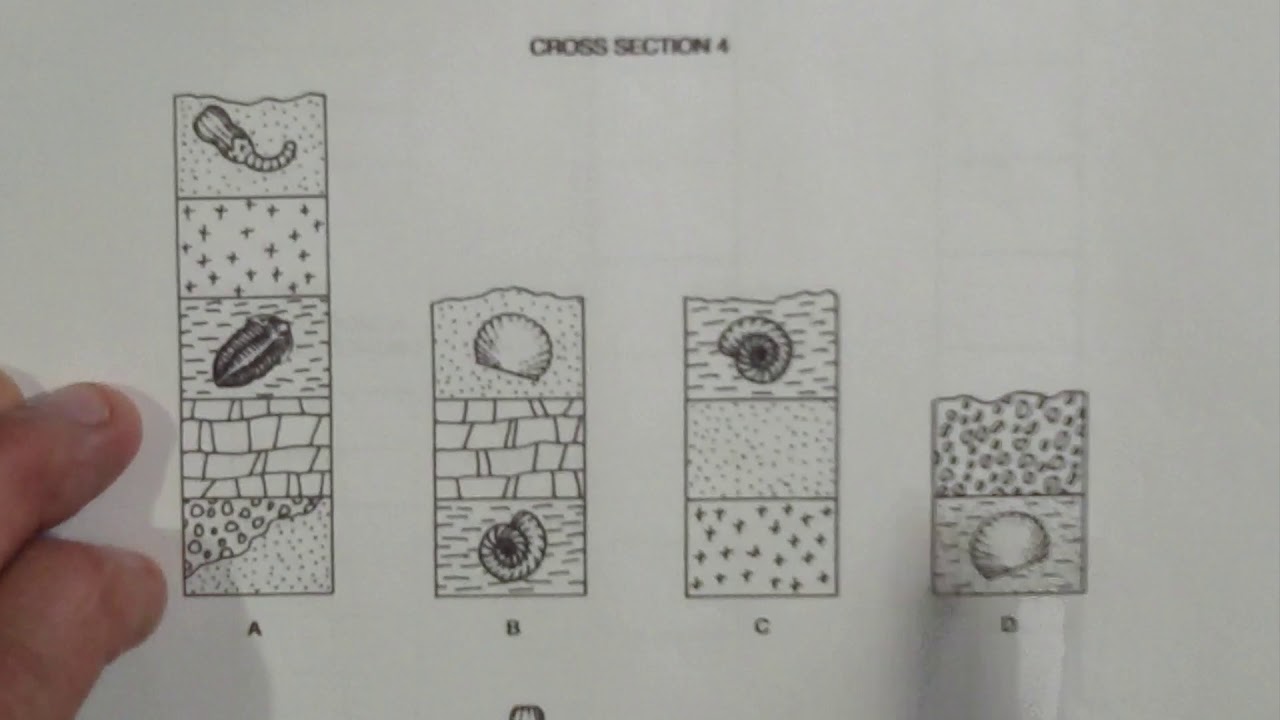 april-23-lab-activity-relative-dating-correlation-and-index-fossils-youtube