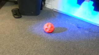 Quick Motion Tracking Test