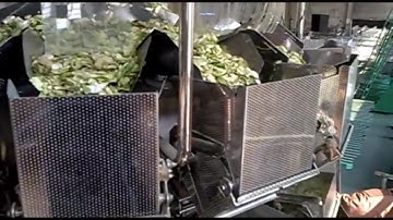 Actionpac MULTI109-14SW | multihead weigher packing machine | high speed combination scale