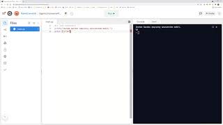 Wprowadzenie do programowania w języku Python w środowisku repl.it
