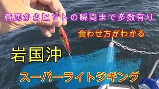 食わせ方がわかる岩国沖スーパーライトジギング　【サワラ、ハマチのブレードゲーム】