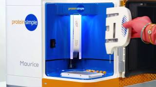 Maurice: CE-SDS Application, IgG Purity & Heterogeneity screenshot 5