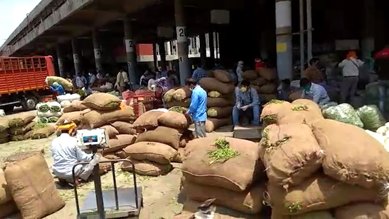 Chandigarh 26 sector vegetable market which has been shifted opens up at ISBT sector 17 YouTube