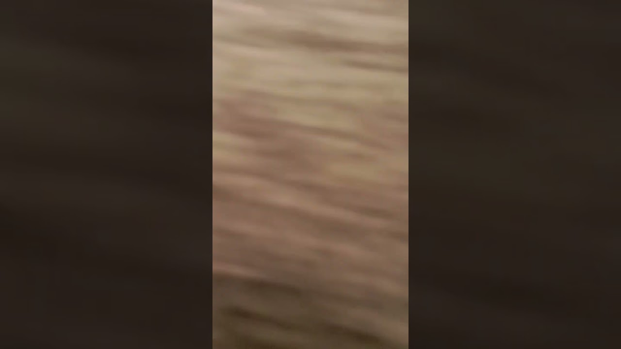 mam bels birthday celebrant