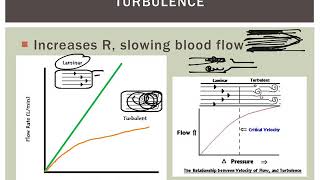 hemodynamics Turbulence and Velocity of Blood flow