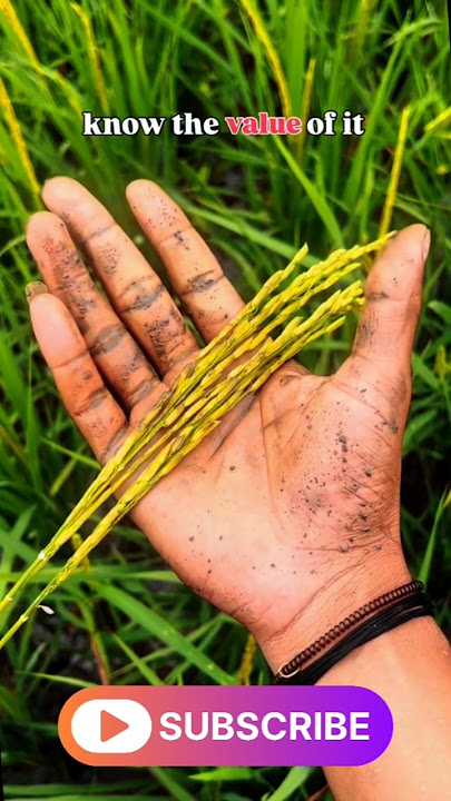 don't waste food 😢#music #anime #animeedit #song #funny #phonk #comedysong #comedy #comedymusic #va