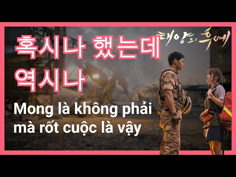 'Nghi đâu trúng đó' (혹시나 했는데 역시나)
