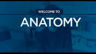 Welcome to Anatomy (CtrlPaint.com)