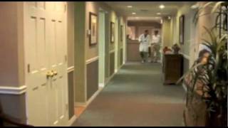 Brandon FL Dentist  | Sip Signature Dentistry