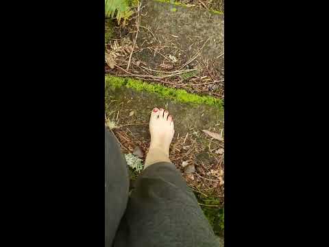 Barefoot Through The Forest To The River