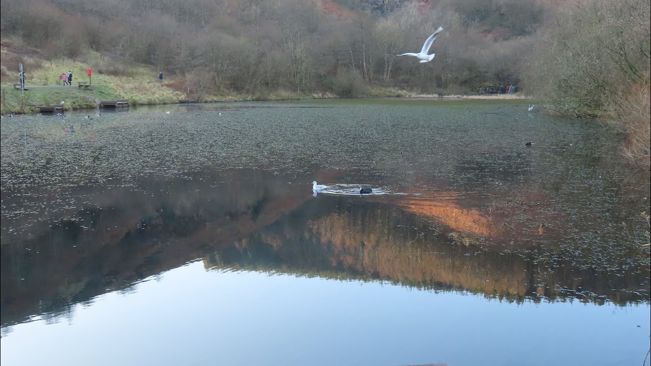 Clydach Vale Rhondda Top Lake Stroll YouTube