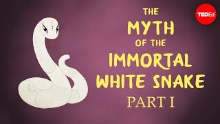 the chinese myth of the immortal white snake shunan teng