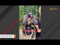 You think vultures are disgusting? Meet George