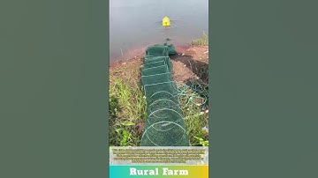 the art of unfolding a small mesh size fishing net: ground lobster basket fishnet folding fishing