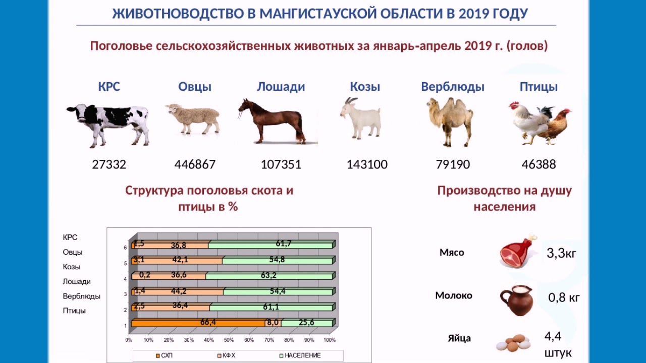 В популяции крупного рогатого скота частота. Поголовье сельскохозяйственных животных. Поголовье крупного рогатого скота. Поголовье КРС В России. Поголовье крупного рогатого скота в СССР. В популяции крупного рогатого скота частота. Поголовье сельскохозяйственных животных. Поголовье крупного рогатого скота. Поголовье КРС В России. Поголовье крупного рогатого скота в СССР.
