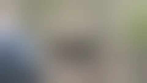 Hog hunt Savannah NWR, Ga