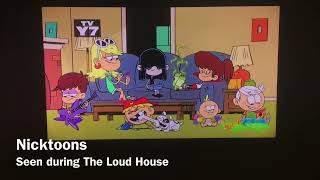 All 5 Halloween Screen Bugs (2022)