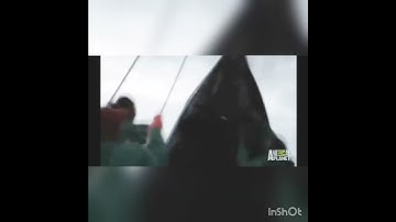Thumbnail of Firshermen caught a  mermaid / Mami Wata 2022