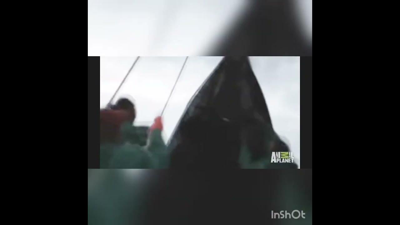 Firshermen caught a  mermaid / Mami Wata 2022