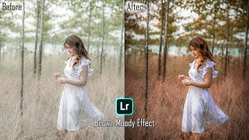 How To Apply Brown Moody Effect In Lightroom | In 3mins | Lightroom Tutorials | Art Works Creation |
