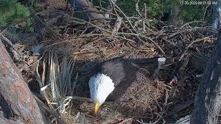 Welcome E4!  12 30 25 10 03 am E4 hatched