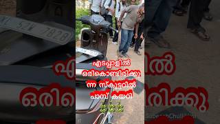 എടപ്പാൾ, റയ്ഹാൻ കണ്ണാശുപത്രിക്കടുത്ത് ഓടികൊണ്ടിരിക്കുന്ന സ്കൂട്ടറിൽ പാമ്പ് ഓടിക്കയറി #edappal #snake
