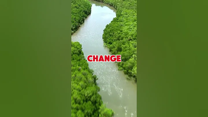 What Would Happen If the Amazon Rainforest Was Completely Destroyed?