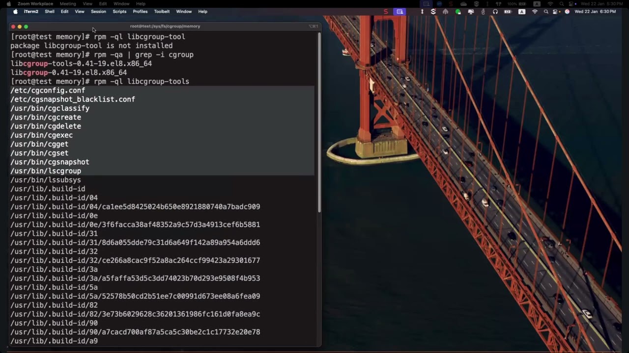 2. Control Groups (CGroups) - Cont