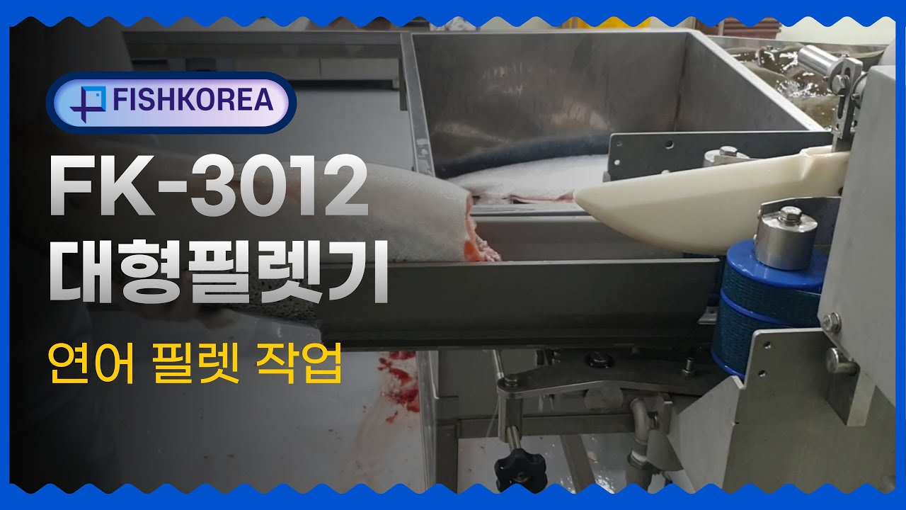 FK3012 대형필렛기 연어필렛 작업 / FK3012 Salmon Fillet Machine YouTube