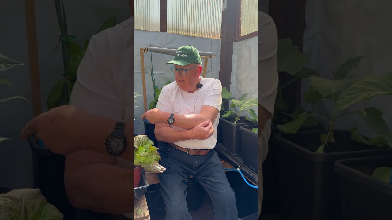 Let’s have a little explore of my garden...👍 #gardening #garden #gardenvisit