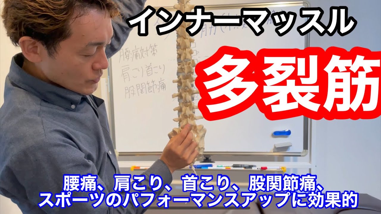からだが驚くほど軽くなる！【インナーマッスルトレーニング】・多裂筋（横突棘筋:おうとつきょくきん）