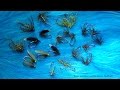 Tying the Greenwells Glory (Wet Fly) with Davie McPhail