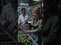 They Poisoned Salad Bars to Steal an Election 😨