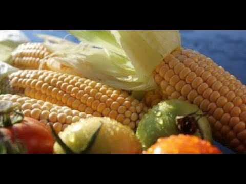 Video: 4 Buah Dan Sayuran Pusaka Yang Terlupakan Yang Harus Anda Tambahkan Ke Diet Anda