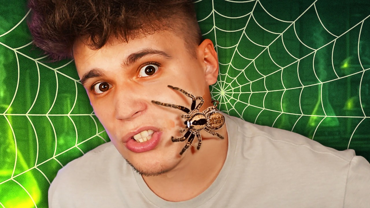 BOISZ SIĘ PAJĄKÓW? 🕷️
